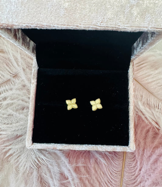 RC Stud Earrings